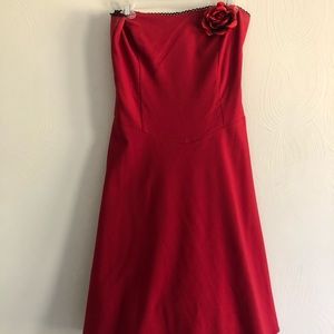 Red A-Line. Tulle Petticoat. Swing Dress